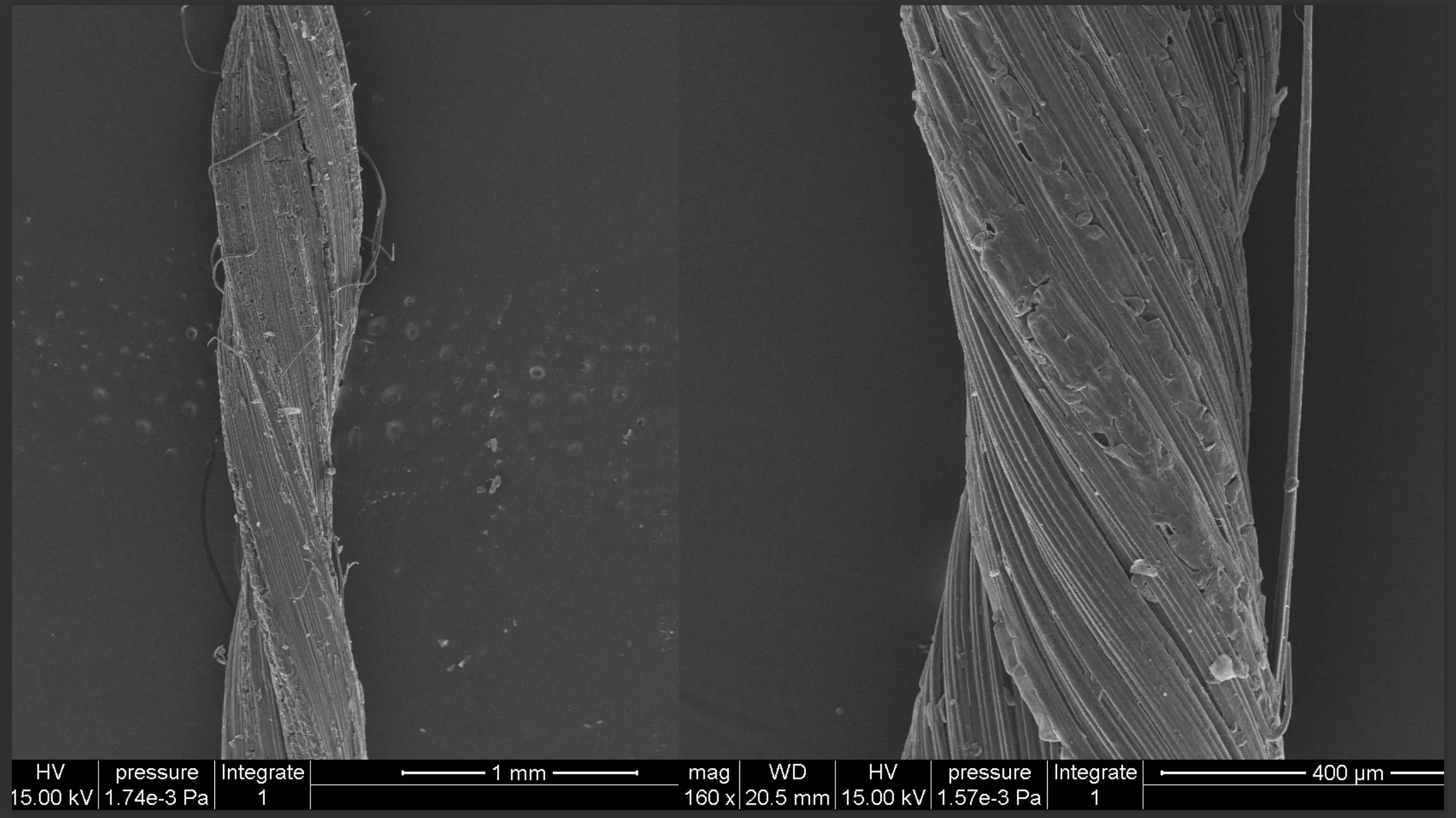 Slideshow image 3
